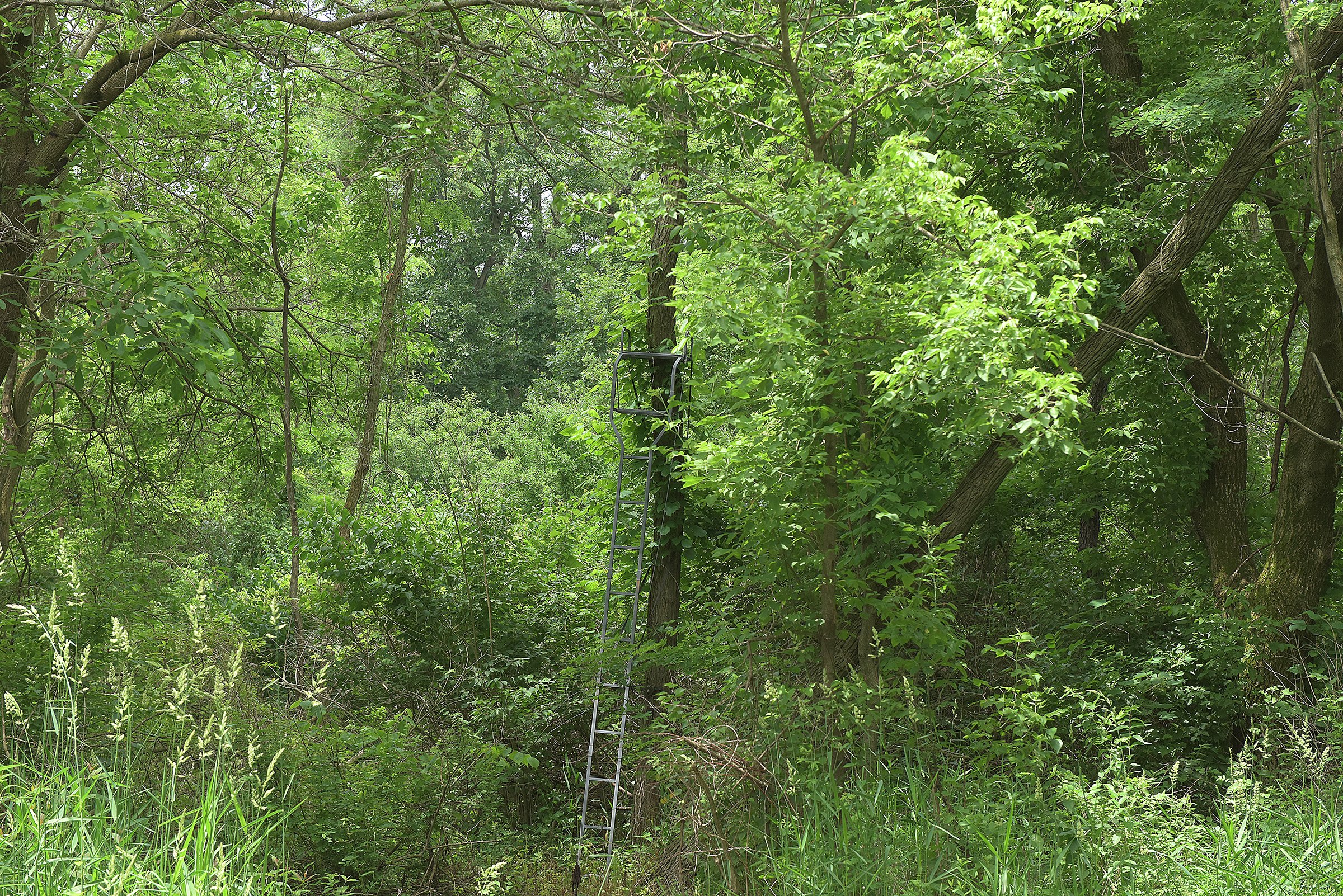 Lake County, Indiana farmland - LAND AUCTION - 147+/- ACRES OFFERED IN 3 TRACTS IN LAKE COUNTY, INDIANA